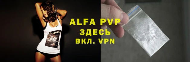 прущая мука Дмитриев