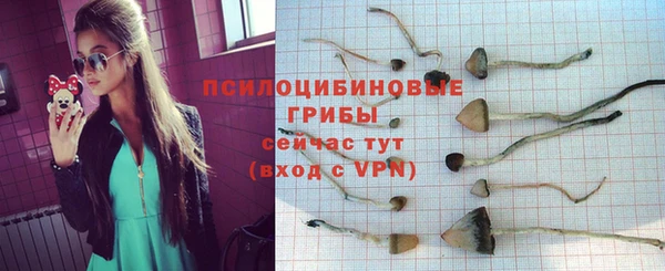mdma Дмитровск