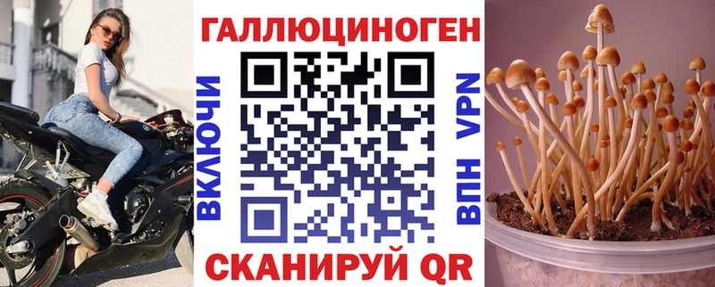 Купить  Усть-Кут  Галлюциногенные грибы мухоморы 